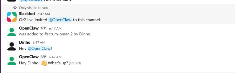 OpenClaw invite & first message